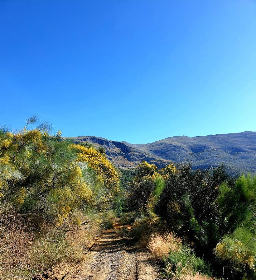 One Life Malaga Retreat Ξενοδοχείο Periana Εξωτερικό φωτογραφία
