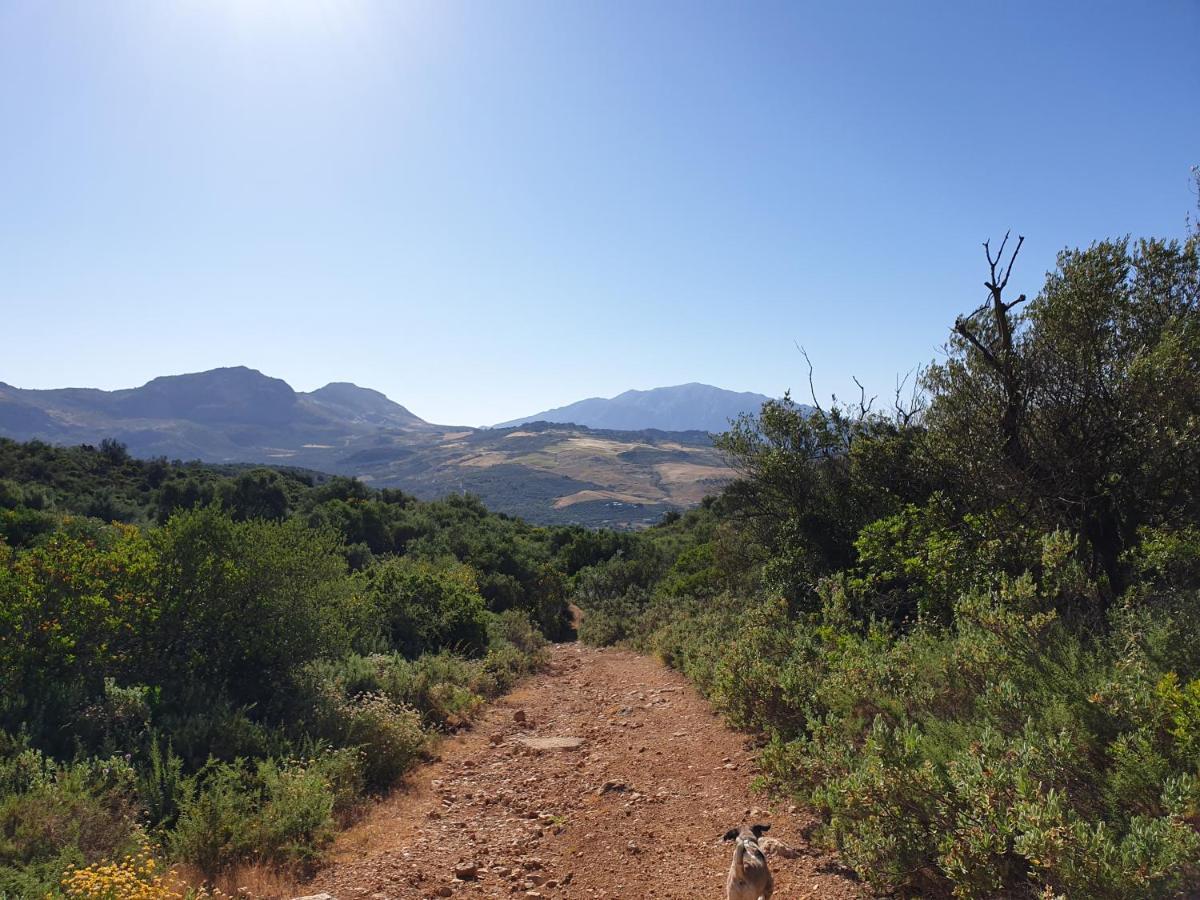 One Life Malaga Retreat Ξενοδοχείο Periana Εξωτερικό φωτογραφία